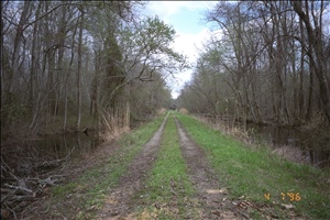 9604 4053 misc gw ditchIMG0020.jpg